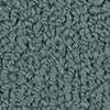 carpet from Carpet Bargains