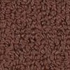 carpet from Carpet Bargains