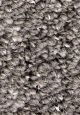 gym floor blue hazew