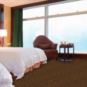 Hotel Motel Room Carpet