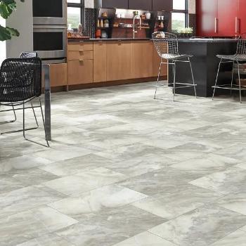 Shaw Paragon Tile Plus 1022V