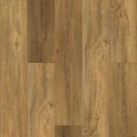 282 Foresta