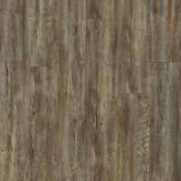 Tattered Barboard 00717