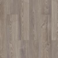 Grey Chestnut 07062
