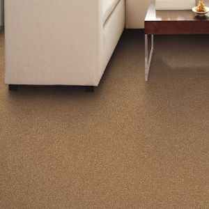 Mohawk Carpet Residential Flooring