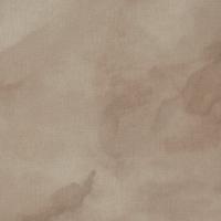 7298 Horizon