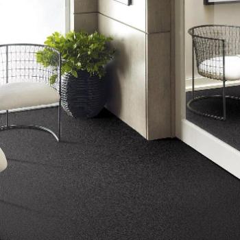 Philadelphia Commercial Carpet 