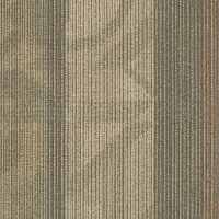 54565 Feedback Tile Shaw Carpet Tiles 