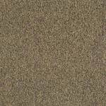 Multiplicity Tile 54594 Abundance 00200