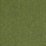 Multiplicity Tile 54594 Exburent 00310