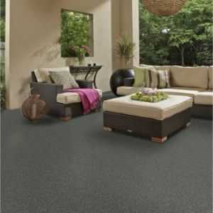 Casual Boucle 54637 Indoor Outdoor Grass Carpet by Shaw Carpets