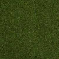 54631 Cabana (T) 00311 Trail Mix