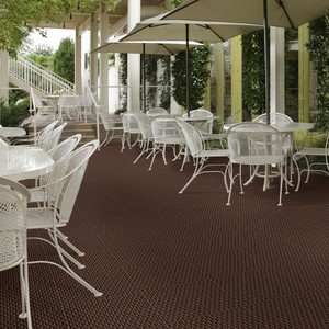 Pattern Play 54640 Indoor Outdoor Grass Carpet by Shaw Carpets