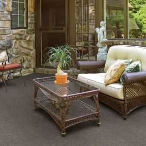 Bedecked 54689 Indoor Outdoor Grass Carpet by Shaw Carpets