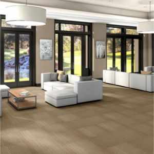 Shaw Carpet Tiles
