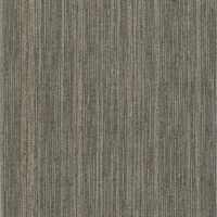 54845 Intellect Masterful 45505