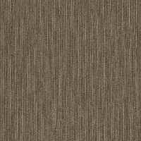54857 Dynamo Scholarly 57705