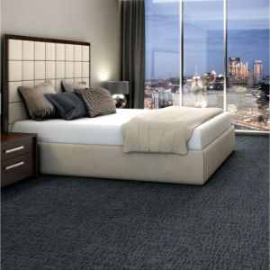 Shaw carpet tiles 