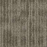 Kudos 54881 Color Scholarly 81705