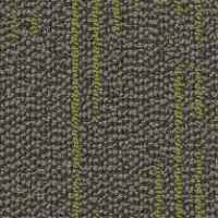 Curious Wonder 54940 Amazement 40300