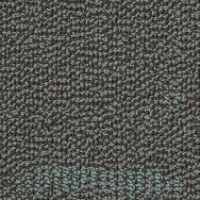 Curious Wonder 54940 In Awe 40400