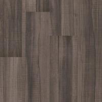 7004 Cotton Seed