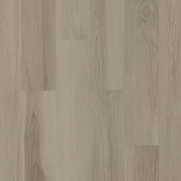 Silva Valley 20 5611V