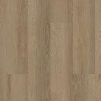 Indwell SPC SS 5663V