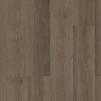 Indwell SPC 5664V