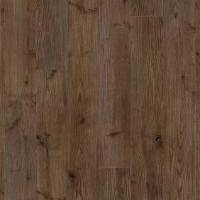 Dawson Maple