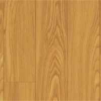 Norwegian Maple
