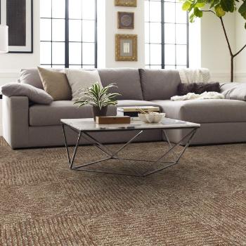 Shaw Carpet Tiles