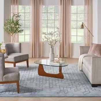 Nourison Area Rug