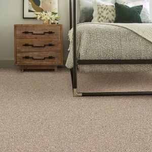 Anderson Tuftex Premium Carpet