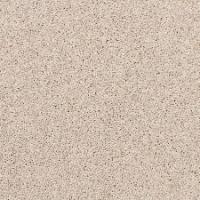 Apollo Bay 723 Bustle