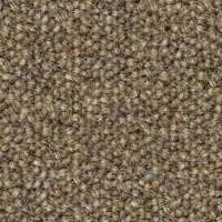 New Basics III BC398