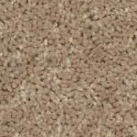 Residential Carpet Carefree II Color 00107