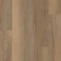 Niland Chestnut VV585-50002