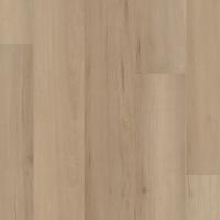 Woodbury Maple 05043