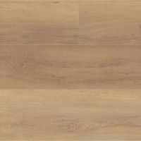 COREtec Pro Plus XL Enhanced HD Bastion Elm VV488-02095