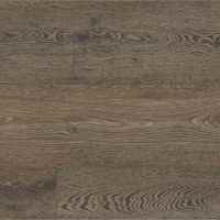 Sydney Oak VV491-02953