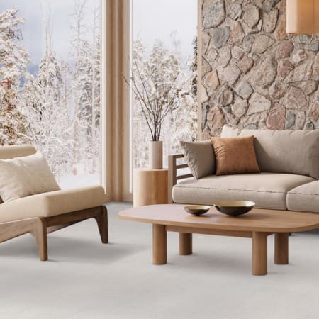 Dixie Home Carpet