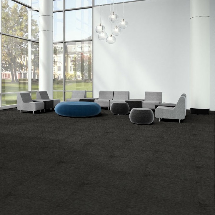 Access Walk-Off AX Carpet Tiles  