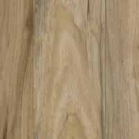 849 Amber Shade