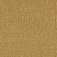 Influencer 30 161 Golden Nectar