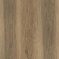 Moccasin Oak 019