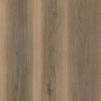 Tudor Oak 023