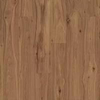 Chapman Hill Ace Hickory 861