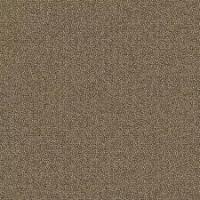 837 Sienna