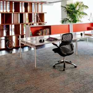 Shaw Contract Carpet Tiles  